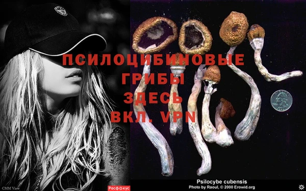мескалин Балахна