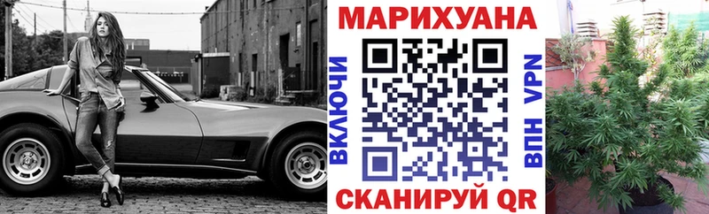 Канабис семена  дарнет шоп  Чадан 